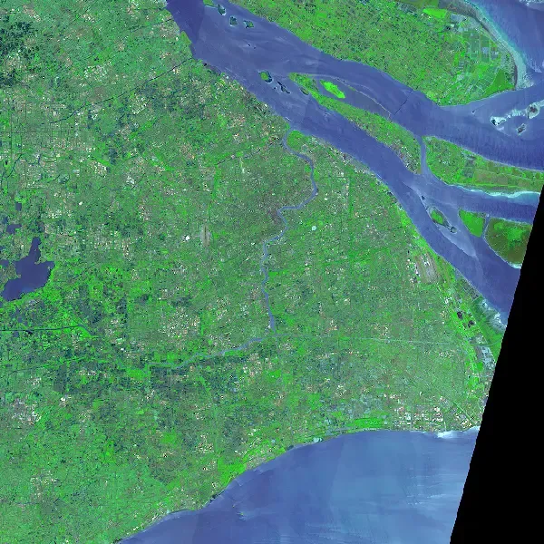 image-20230817123628601