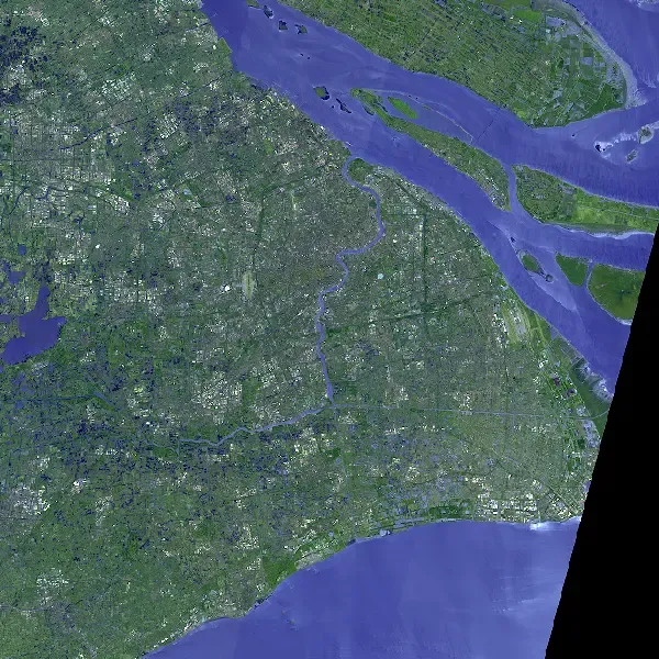 image-20230817123959338