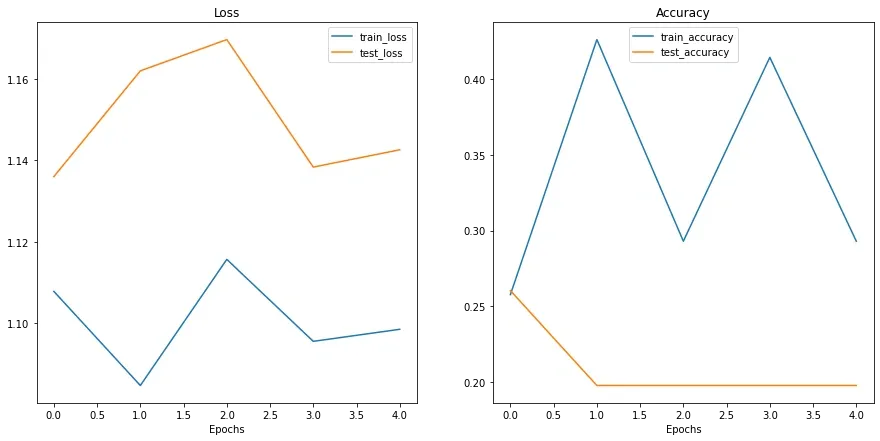 loss_curves
